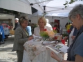 Tag der Rose 2007 in Ulm - Informationsstand Rosenfreunde Ulm