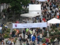 Blick auf den Tag der Rose 2008 in Ulm