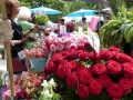 Tag der Rose 2014 Ulm - mit Rosen