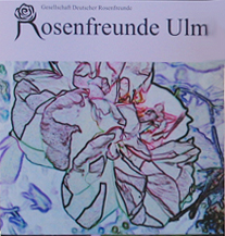 Plakat Tag der Rose in Ulm 2013