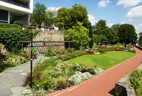 Rosengarten Ulm an der Donau